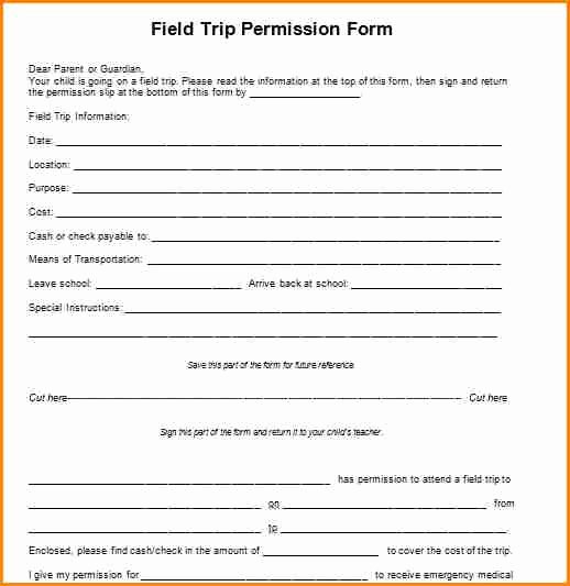 Lds Youth Permission Slip New 7 Permission Slips Template