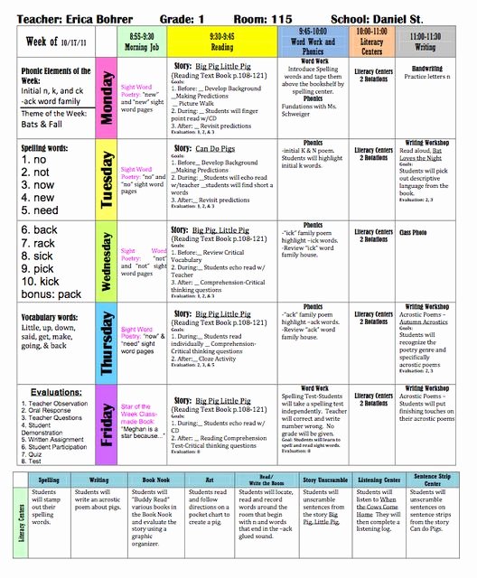 Lesson Plan Template for College Instructors Awesome Weekly Planner Template for Teachers