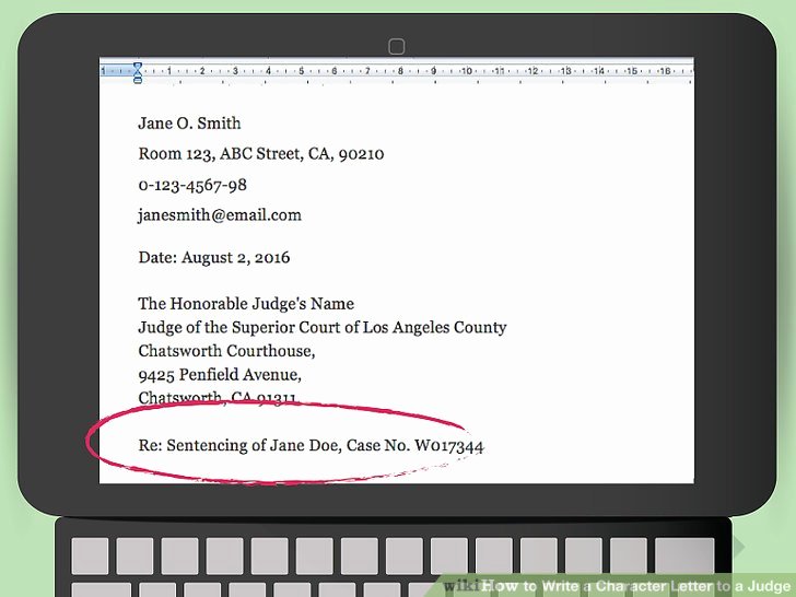 Letter to Judge asking for Leniency for Friend Awesome How to Write A Character Letter to A Judge 13 Steps
