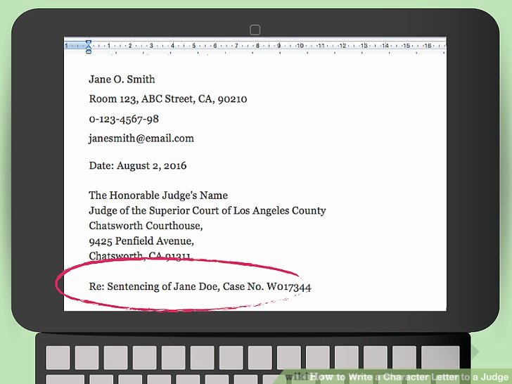 Letter to Judge asking for Leniency for Friend Awesome How to Write A Character Letter to A Judge 13 Steps