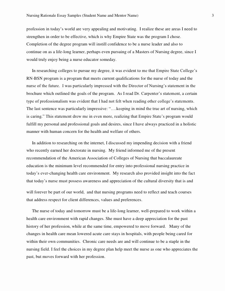 Life Lesson Essay Examples Luxury Rationale Essay Samples A B &amp; C 9 2010
