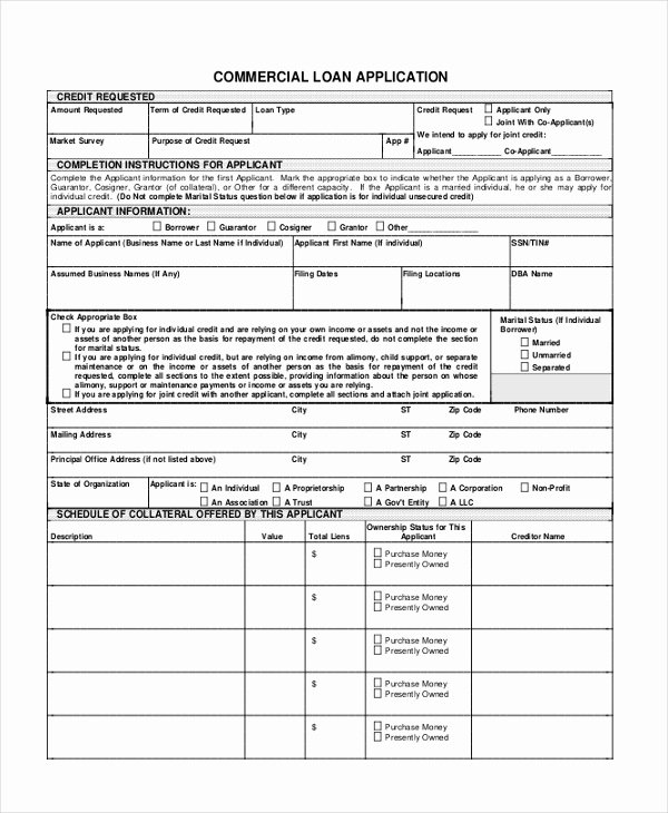 Loan Application form Sample Luxury 9 Sample Loan Application forms Sample Example format