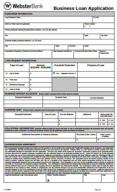 Loan Application Templates Inspirational 9 Business Loan Application form Templates Pdf