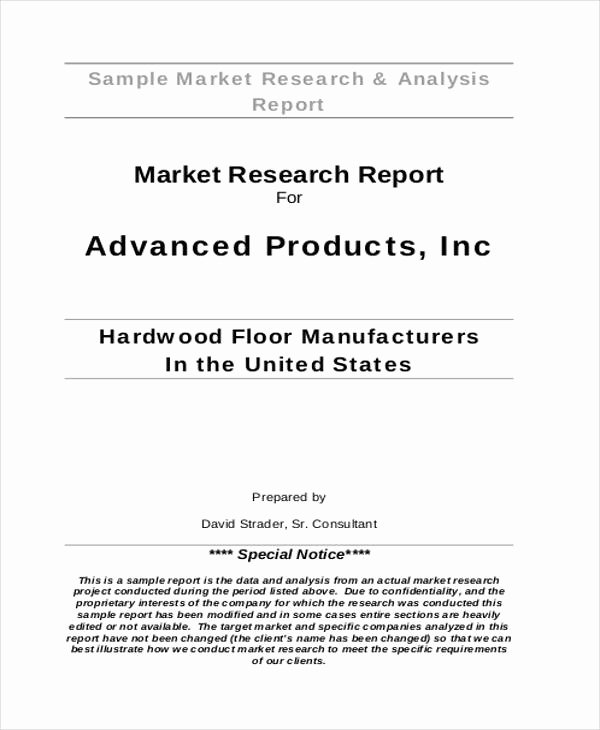 Market assessment Template Beautiful 33 Market Analysis Templates