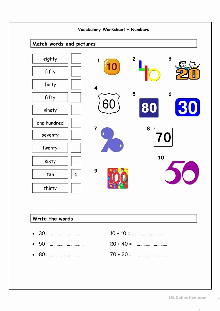 Matching Test Template Microsoft Word Beautiful 27 Of Matching Worksheet Template