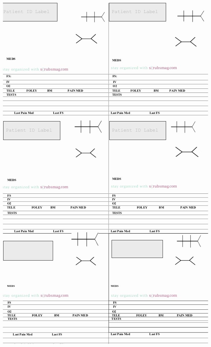 Med Surg Report Sheet New Nurse Med Surg Brain Sheet Notecards