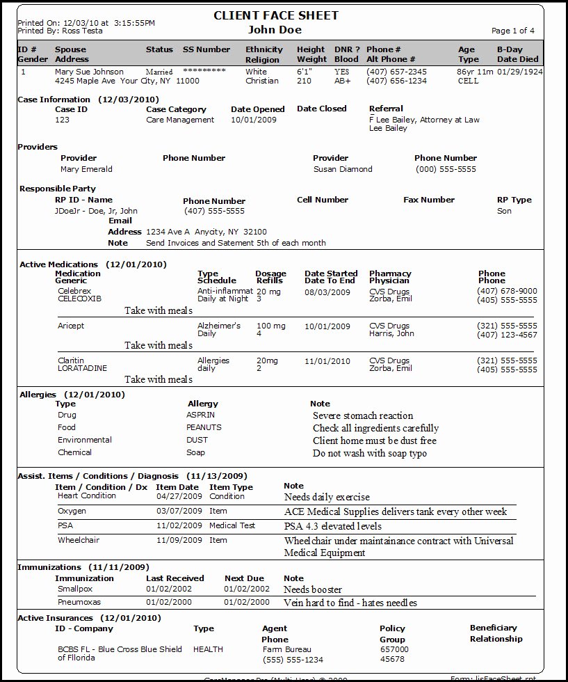 Medical Face Sheet Beautiful Demographics Section