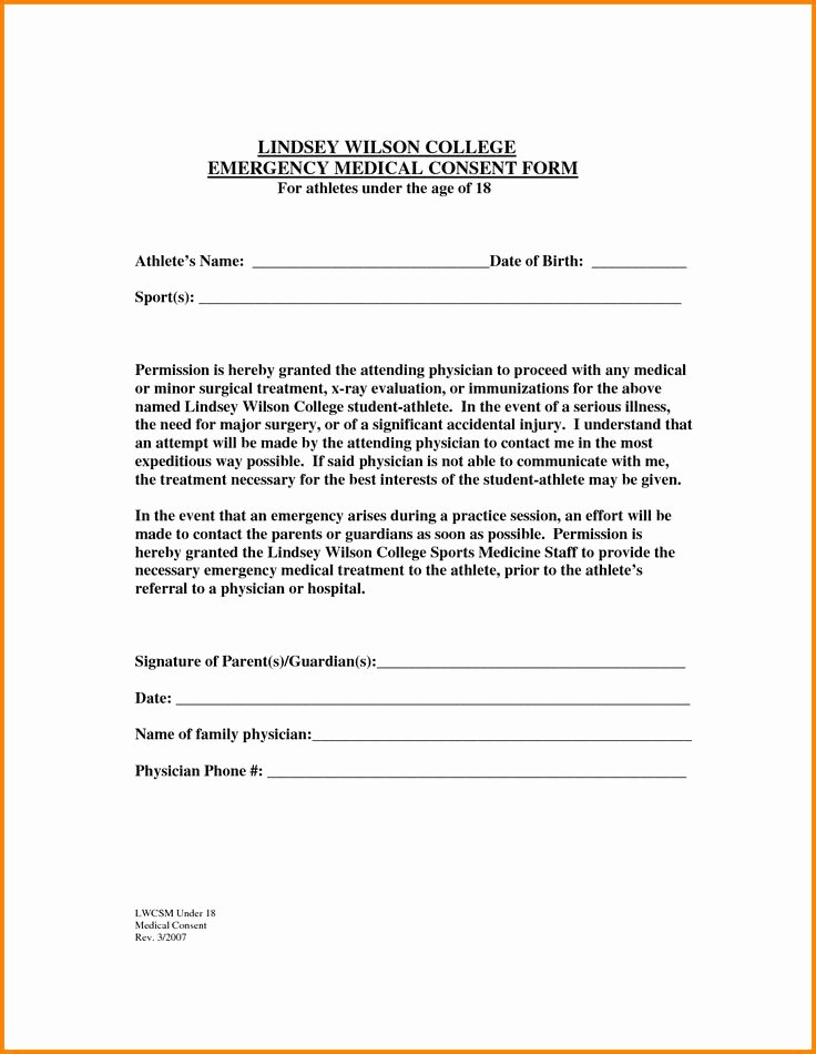 Medical Release form for Babysitter Elegant the 25 Best Medical Consent form Children Ideas On