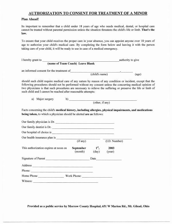 Medical Release form for Babysitter Inspirational Best S Of Printable Medical Consent form Free