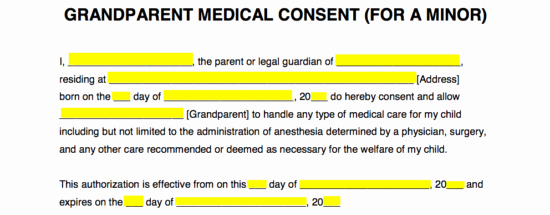 Medical Release form for Babysitter Lovely Grandparents’ Medical Consent form – Minor Child