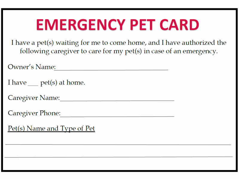 Medication Wallet Card Template Lovely Emergency Preparedness