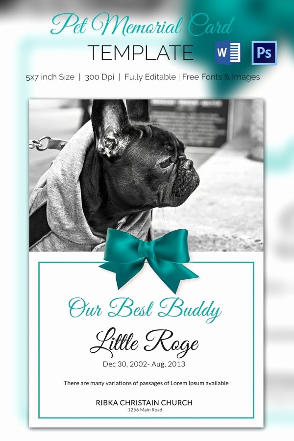 Memorial Card Template Microsoft Word Lovely Pet Memorial Card 5 Word Psd format Download