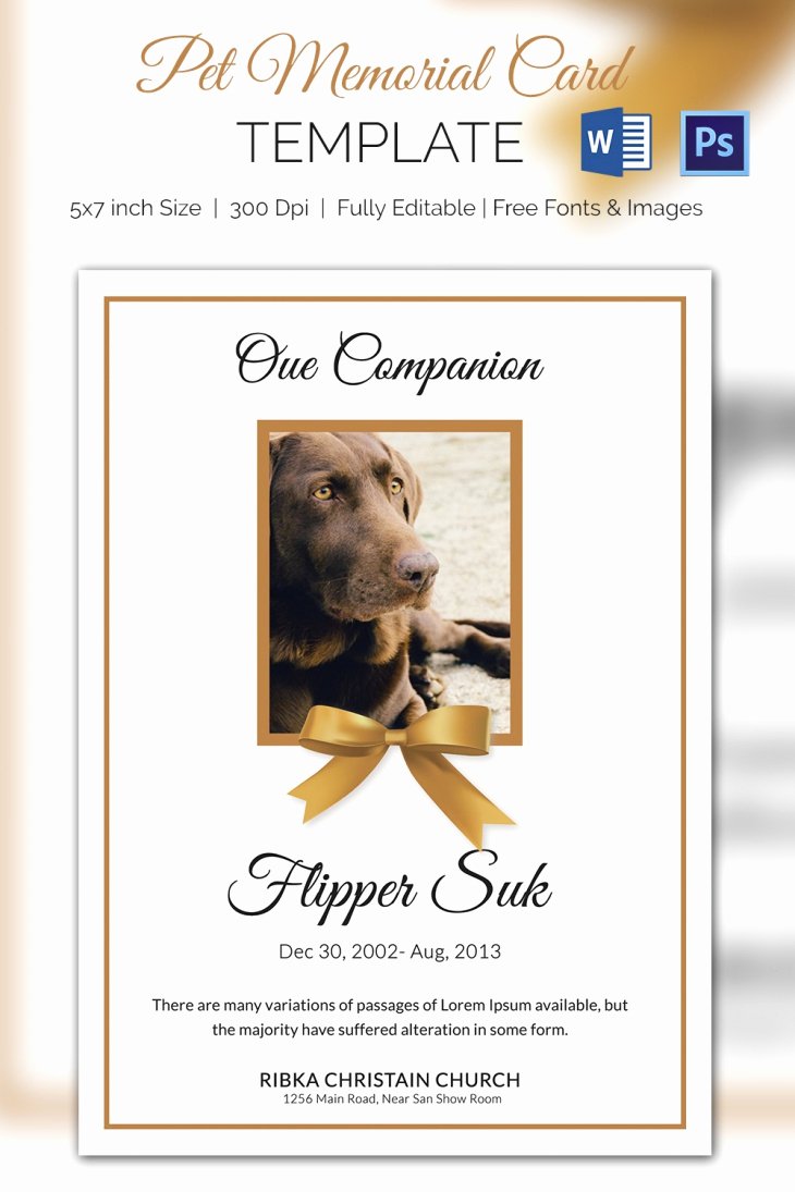 Memorial Cards Template New 5 Pet Memorial Card Template Word Psd Pages