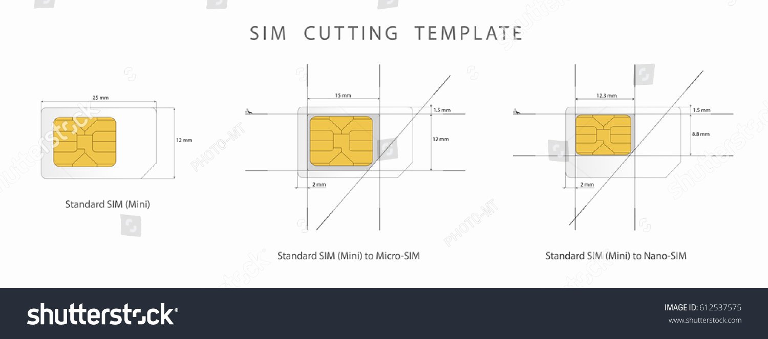 Micro Sim to Nano Sim Template Unique Sim Card Cutting Template Standard Micro Stock Vector