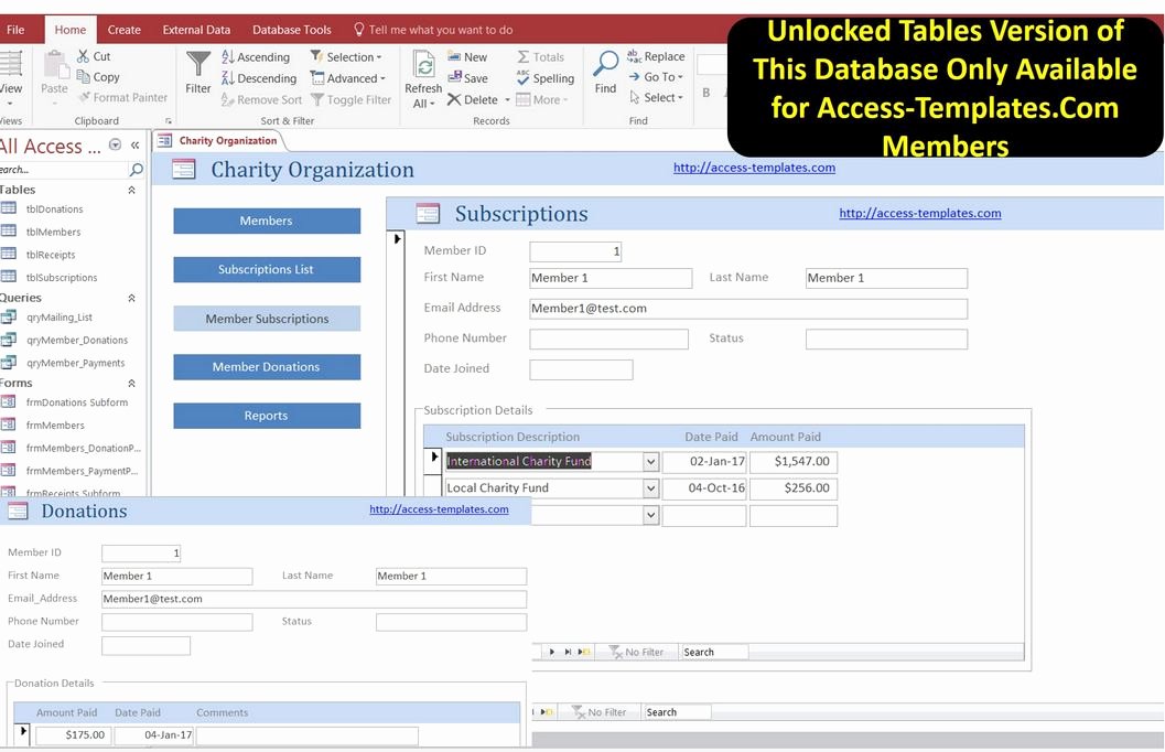 Microsoft Access Templates Unique Non Profit Membership Fundraising software for Microsoft