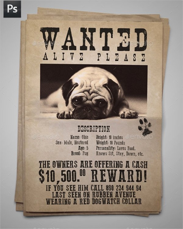 Missing Dog Template Awesome 12 Missing Poster Templates Free Psd Eps Ai format