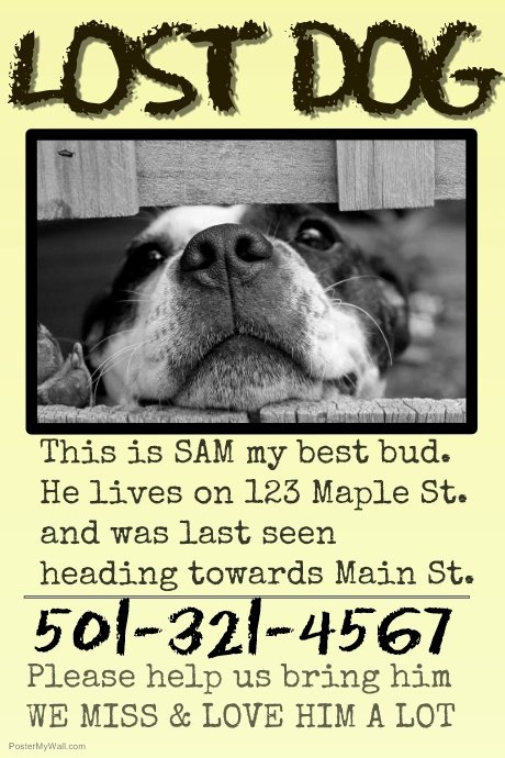 Missing Dog Template Awesome Copy Of Missing Pet Lost Dog Cat Family