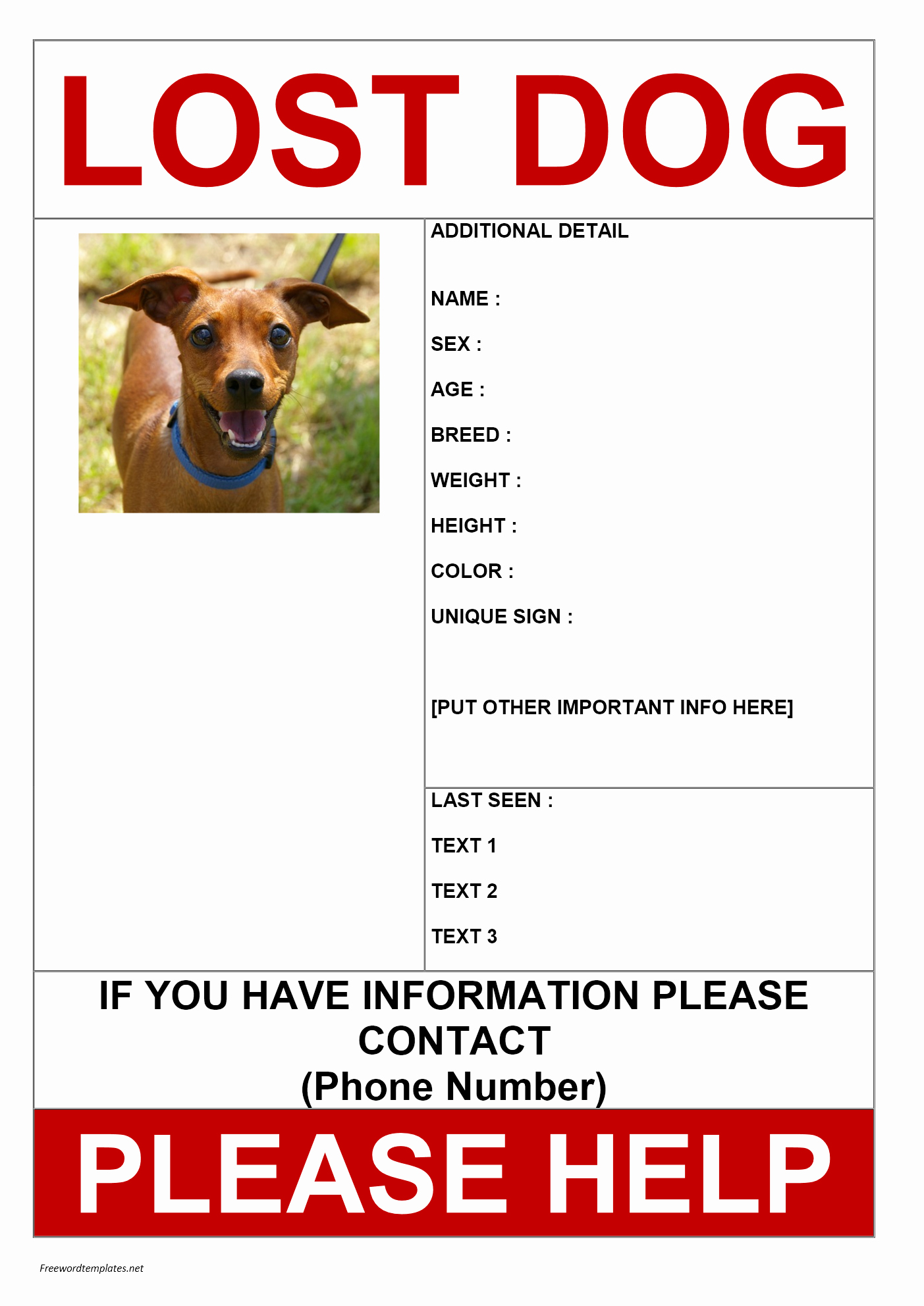 Missing Dog Template Awesome Missing Dog Poster