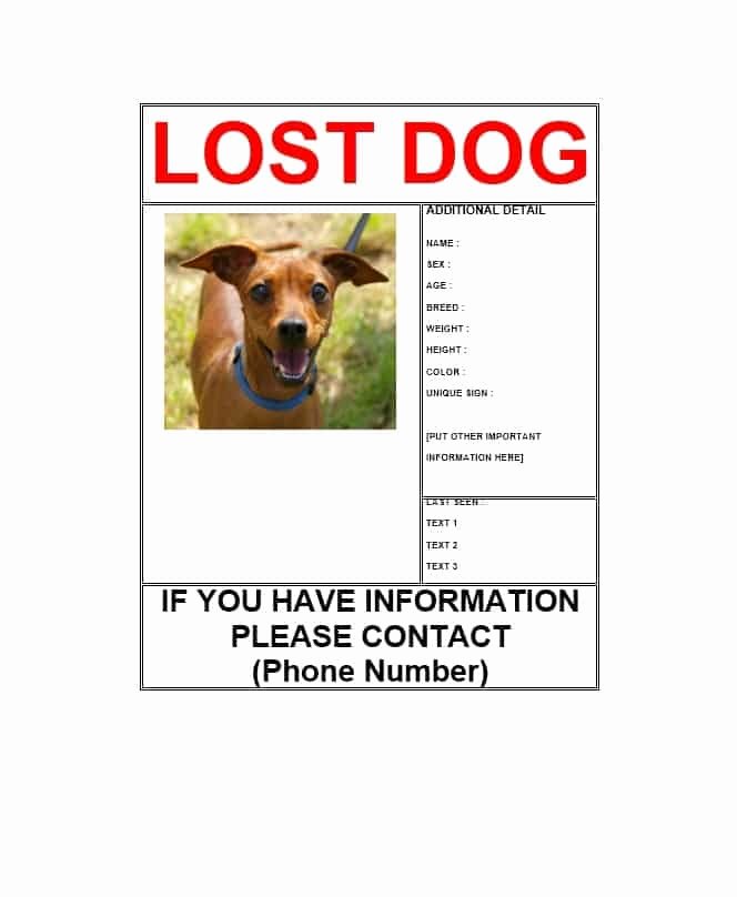 Missing Dog Template Beautiful 40 Lost Pet Flyers [missing Cat Dog Poster] Template