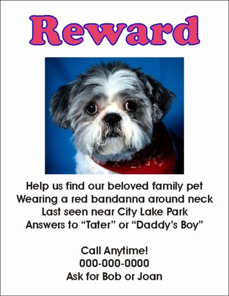 Missing Dog Template Beautiful Flyers for Missing Pets In Texas Whith A Reward