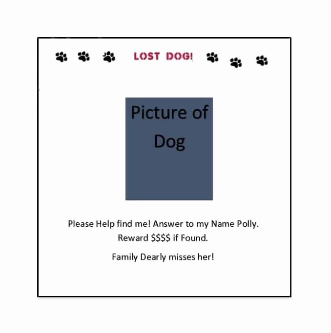 Missing Dog Template Best Of 40 Lost Pet Flyers [missing Cat Dog Poster] Template