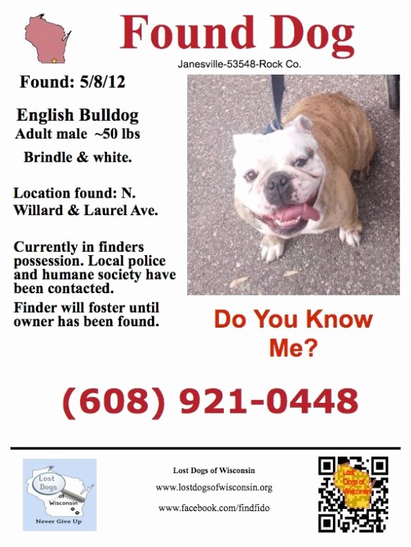 Missing Dog Template Best Of Found Male Englishbulldog In Janesville Wi who’s