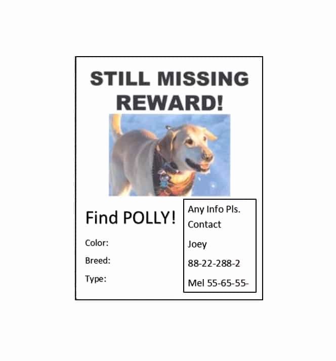 Missing Dog Template Elegant Missing Dog Flyer Ktunesound