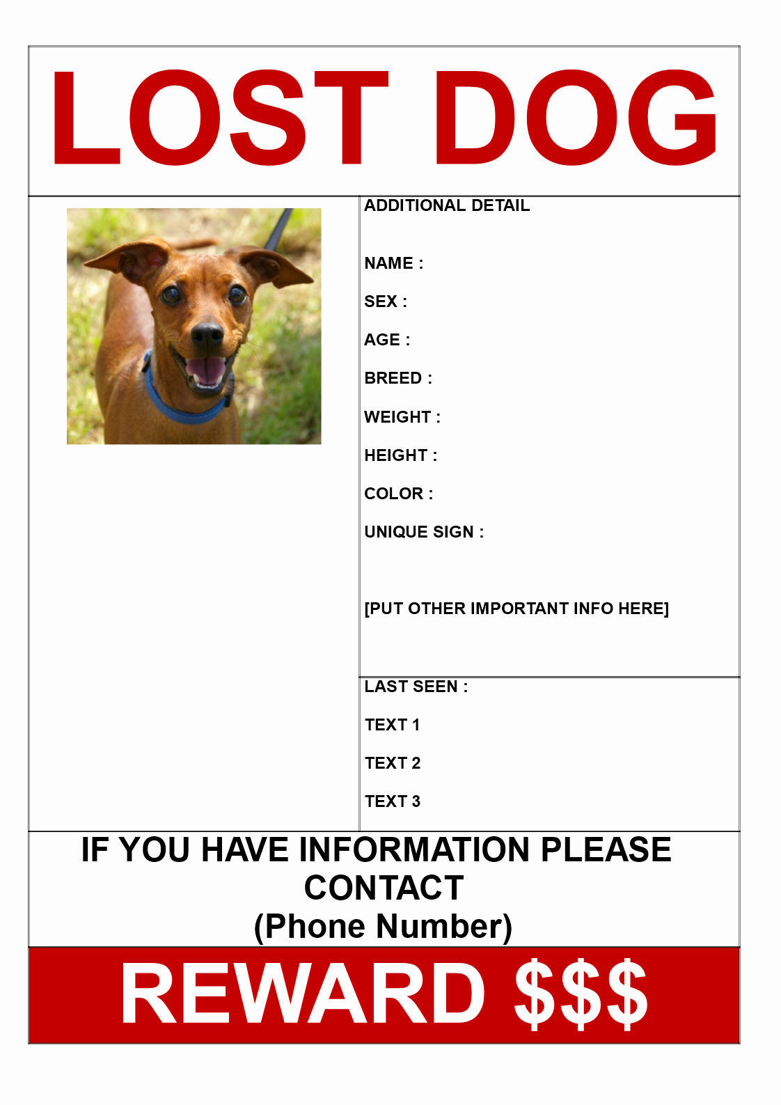 Missing Dog Template Luxury Find Lost Dog Reward Poster A3