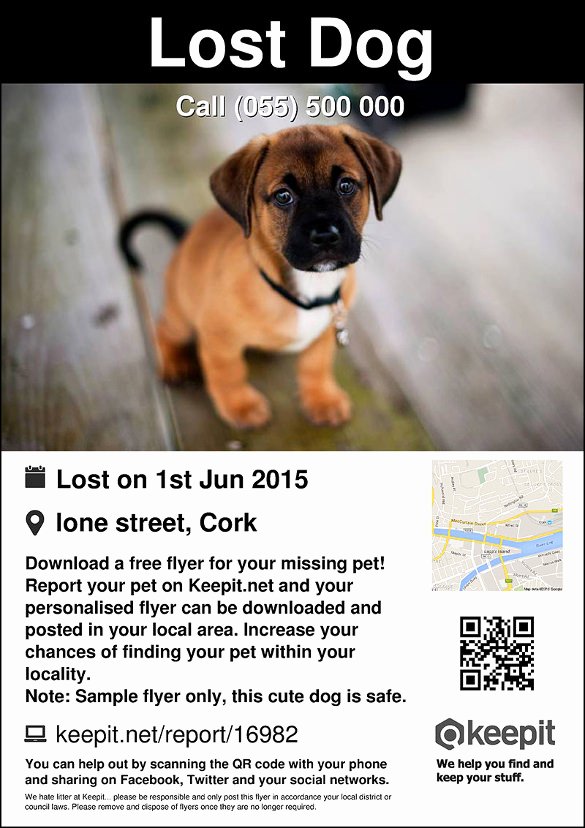 Missing Dog Template New 20 Lost Pet Flyers Word Psd Ai Vector Eps