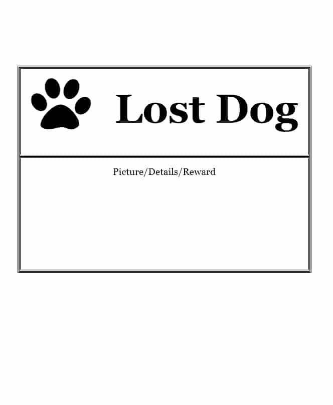 Missing Dog Template Unique 40 Lost Pet Flyers [missing Cat Dog Poster] Template