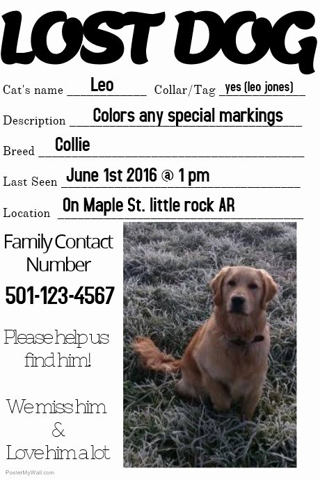 Missing Dog Template Unique Lost Dog Missing Loved One Family Template