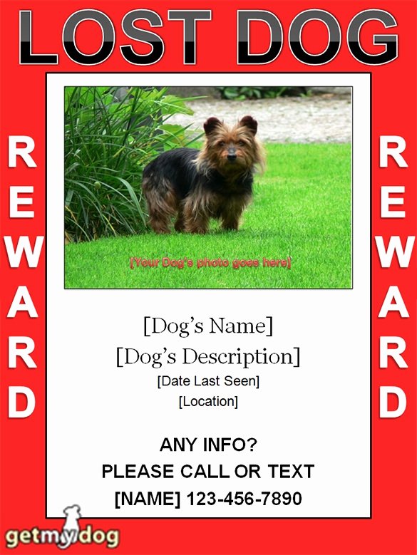 Missing Dog Template Unique Missing Dog Poster Template Invitation Template