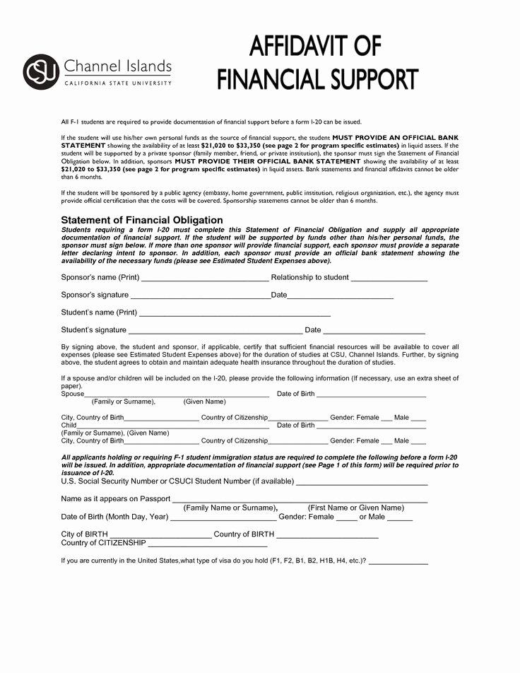 Modification Of Child Support Letter Samples Unique Best 25 Letter format Sample Ideas On Pinterest