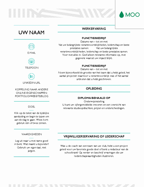 Moo Resume Templates Beautiful Moo Resume Templates