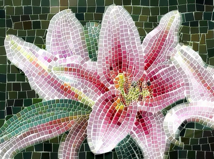 Mosaic Flower Designs Luxury 1777 Best Mosaics Images On Pinterest