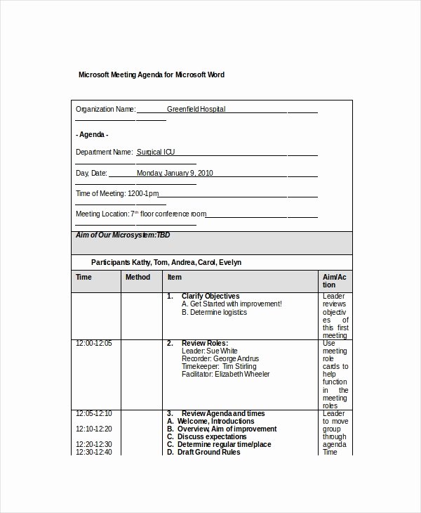 Ms Office Agenda Template Unique 12 Microsoft Meeting Agenda Templates – Free Sample