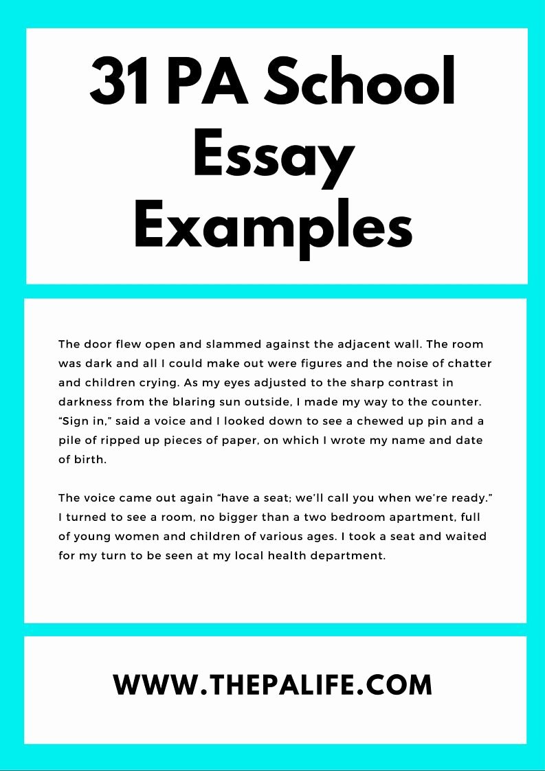 My Neighborhood Essay Example Fresh Best 25 Sample Essay Ideas On Pinterest