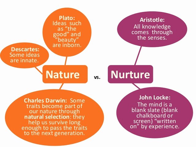 Nature Vs Nurture Venn Diagram Fresh Nature Vs Nurture Diagram Gallery