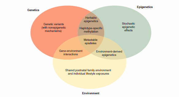 Nature Vs Nurture Venn Diagram New Library Nu Urang Sunda the Genetic and Epigenetic Basis