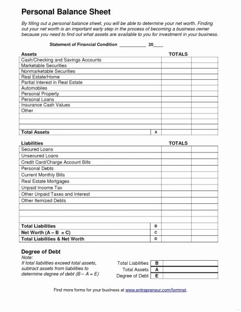 Non Profit Financial Statement Template Excel Awesome Non Profit Financial Statement Template Excel