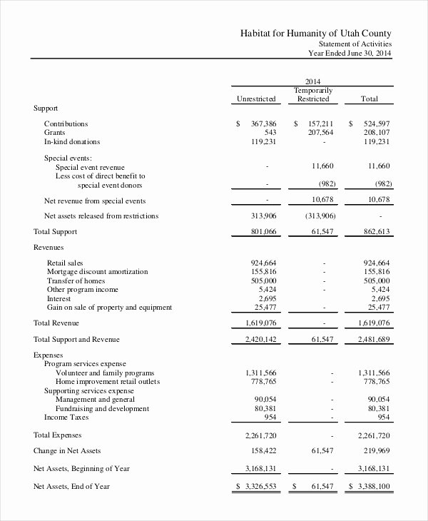 Non Profit Financial Statement Template Excel Beautiful Financial Statement 20 Free Sample Example format