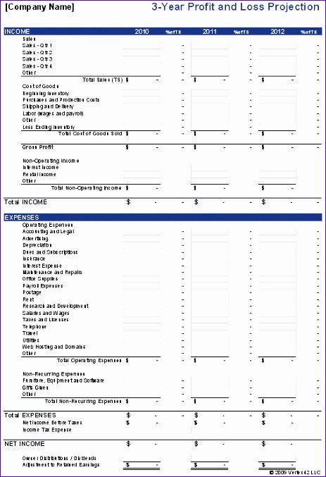 Non Profit Financial Statement Template Excel Elegant 10 Non Profit Balance Sheet Template Excel