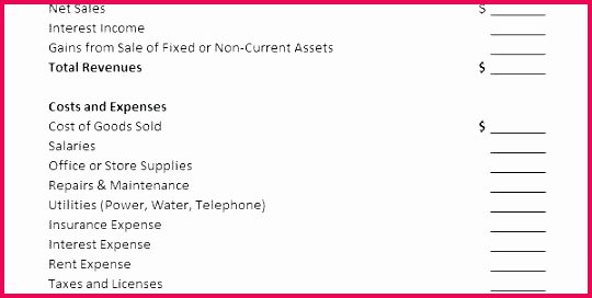 Non Profit Financial Statement Template Excel Fresh 4 Financial Statement Analysis Example