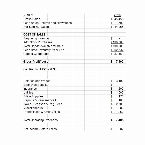 Non Profit Financial Statement Template Excel Fresh Free Downloadable Excel Pro forma In E Statement for