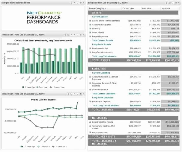 Non Profit Financial Statement Template Excel Fresh Non Profit Balance Sheet Template Excel