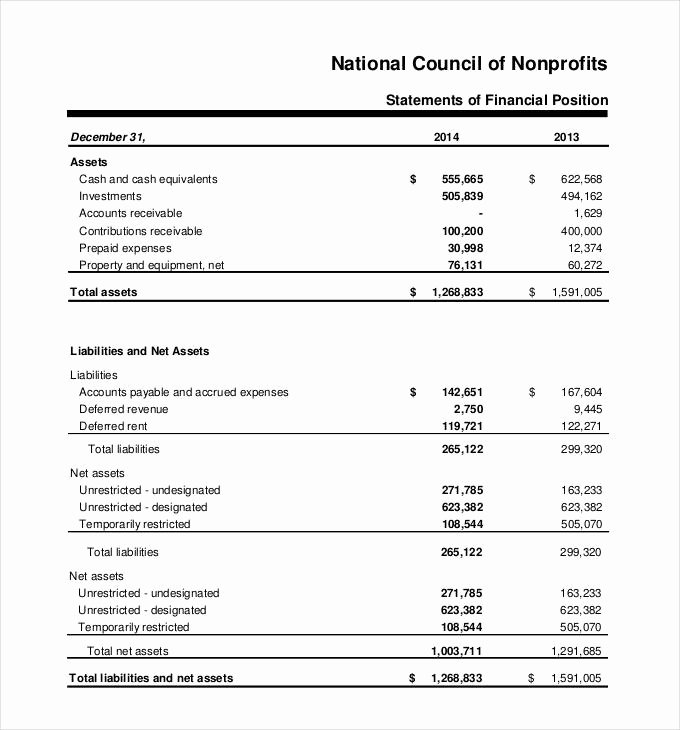 Non Profit Financial Statement Template Excel Lovely 30 Financial Statement Templates Pdf Doc