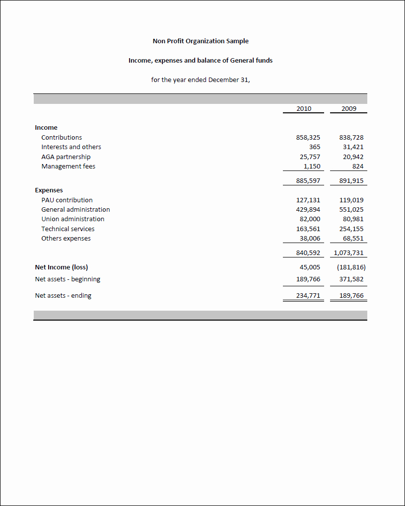 Non Profit Financial Statement Template Excel Lovely Excel Fsm Npo