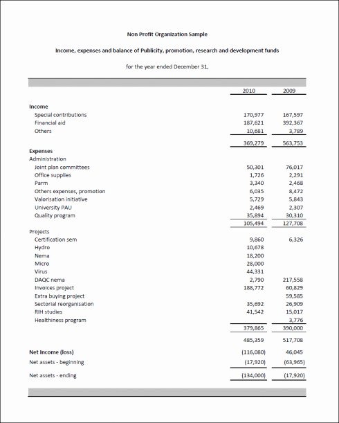 Non Profit Financial Statement Template Excel Lovely Non Profit Financial Statement Template Excel