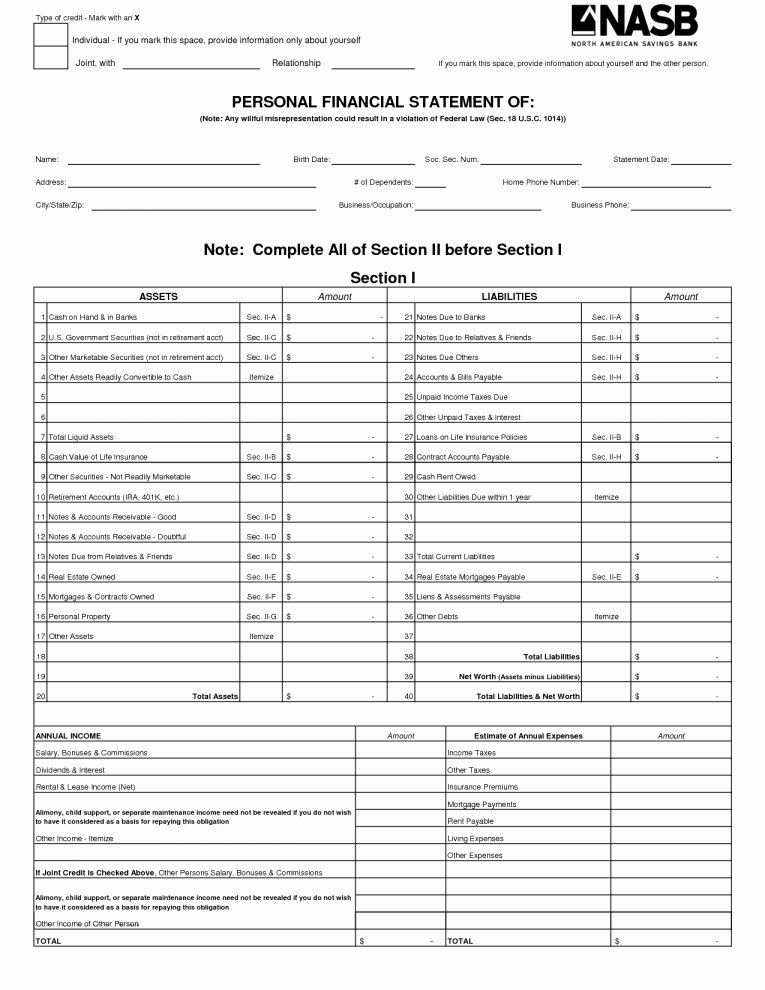 Non Profit Financial Statement Template Excel Lovely Non Profit Financial Statement Template Excel