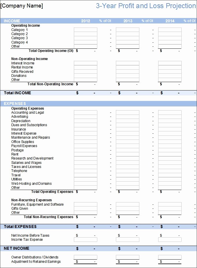 Non Profit Financial Statement Template Excel Luxury 30 Financial Statement Templates Pdf Doc